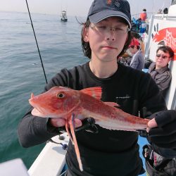 深川 吉野屋 釣果