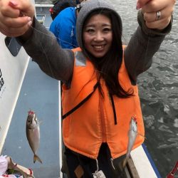 深川　吉野屋 釣果