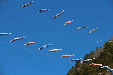 小菅トラウトガーデン 釣果