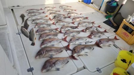 暁〜akatsuki〜 釣果