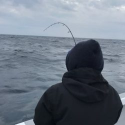 へいみつ丸 釣果