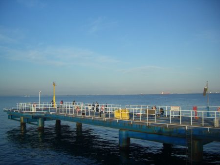 オリジナルメーカー海づり公園(市原市海づり施設) 釣果