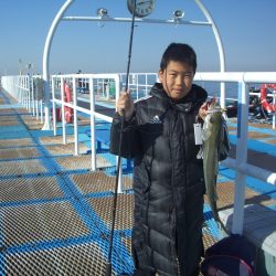 オリジナルメーカー海づり公園(市原市海づり施設) 釣果