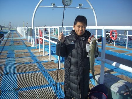 オリジナルメーカー海づり公園(市原市海づり…