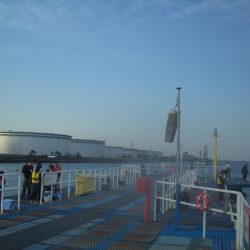 オリジナルメーカー海づり公園(市原市海づり施設) 釣果