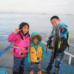 オリジナルメーカー海づり公園(市原市海づり施設) 釣果