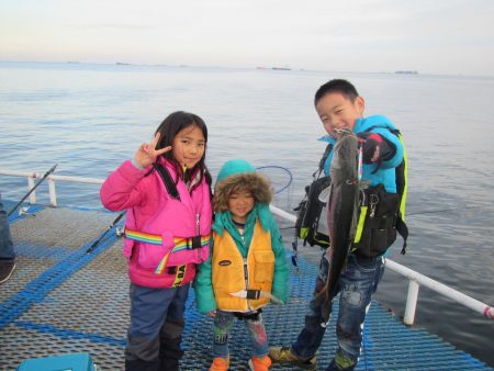 オリジナルメーカー海づり公園(市原市海づり施設) 釣果