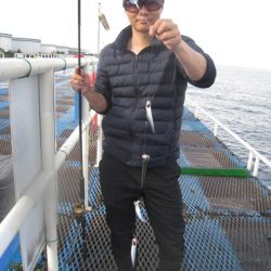 オリジナルメーカー海づり公園(市原市海づり施設) 釣果