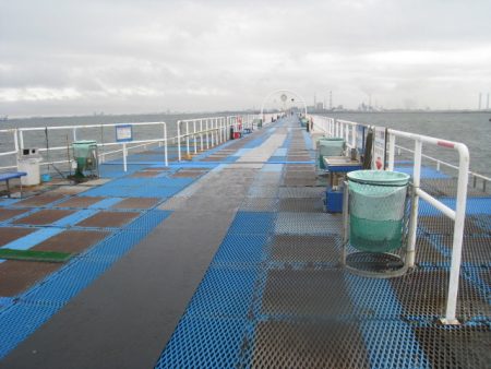 オリジナルメーカー海づり公園(市原市海づり施設) 釣果