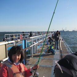 オリジナルメーカー海づり公園(市原市海づり施設) 釣果