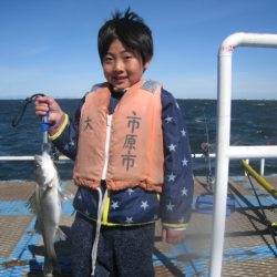 オリジナルメーカー海づり公園(市原市海づり施設) 釣果