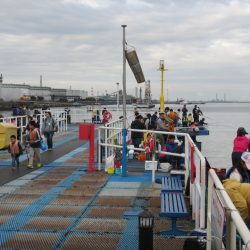 オリジナルメーカー海づり公園(市原市海づり施設) 釣果