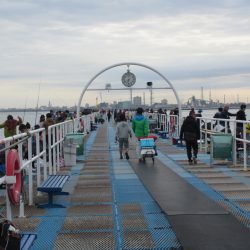 オリジナルメーカー海づり公園(市原市海づり施設) 釣果