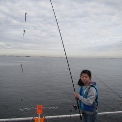 オリジナルメーカー海づり公園(市原市海づり施設) 釣果