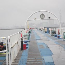 オリジナルメーカー海づり公園(市原市海づり施設) 釣果