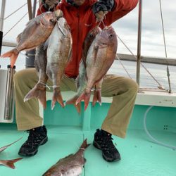 さんさん丸 釣果