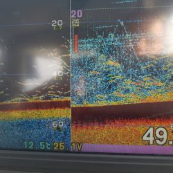 遊漁船 ニライカナイ 釣果