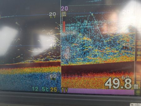 遊漁船 ニライカナイ 釣果