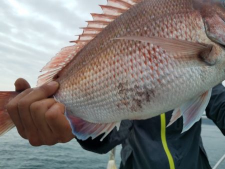 遊漁船 ニライカナイ 釣果
