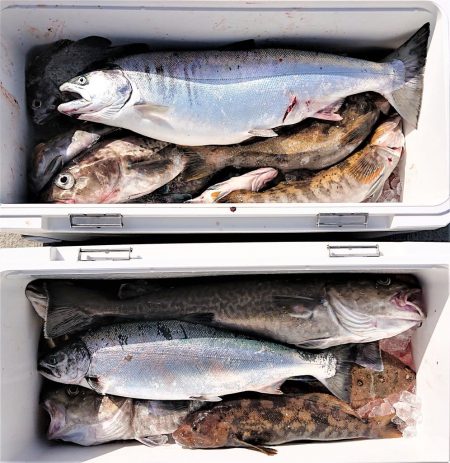 気仙沼　つり丸 釣果