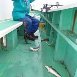 第二むつ漁丸 釣果