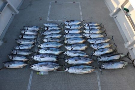 へいみつ丸 釣果