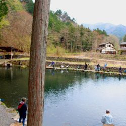 小菅トラウトガーデン 釣果