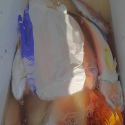 遊漁船 新鋭丸 釣果