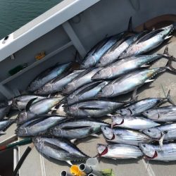 へいみつ丸 釣果