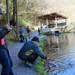 小菅トラウトガーデン 釣果