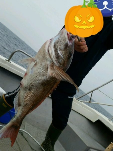 つれ鷹丸 釣果