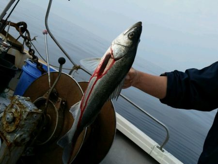 つれ鷹丸 釣果