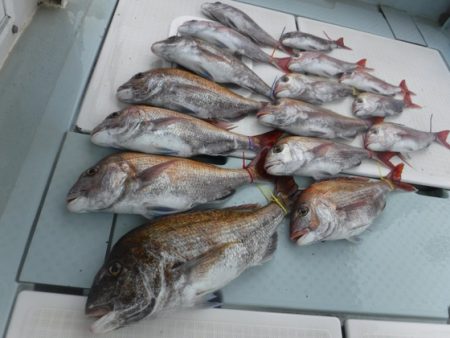 遊漁船 幸友丸 釣果