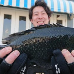 伊豆下田フィッシング 釣果