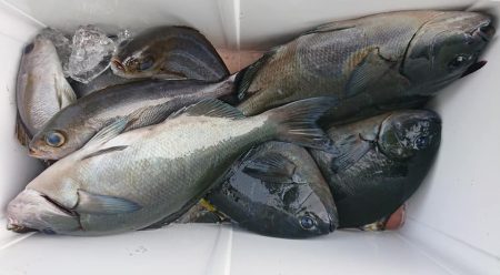 伊豆下田フィッシング 釣果