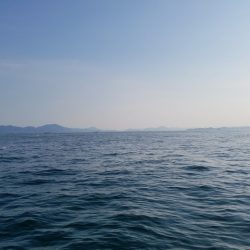 遊漁船 ニライカナイ 釣果