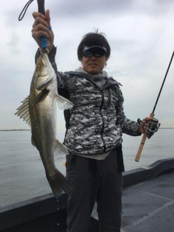 シーマジカル 釣果