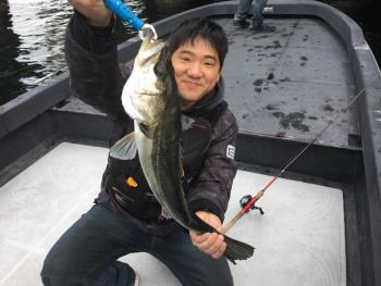 シーマジカル 釣果