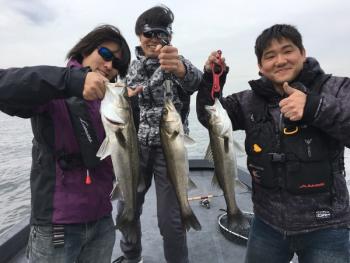 シーマジカル 釣果