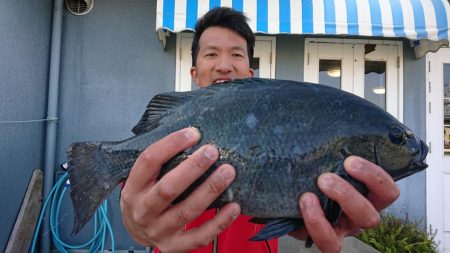 伊豆下田フィッシング 釣果