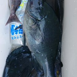 伊豆下田フィッシング 釣果