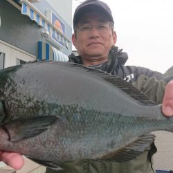 伊豆下田フィッシング 釣果
