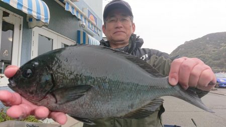 伊豆下田フィッシング 釣果