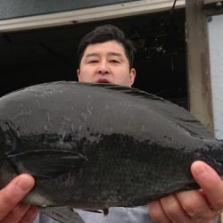 伊豆下田フィッシング 釣果