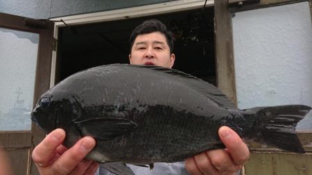 伊豆下田フィッシング 釣果