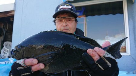 伊豆下田フィッシング 釣果