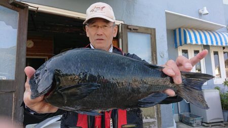 伊豆下田フィッシング 釣果