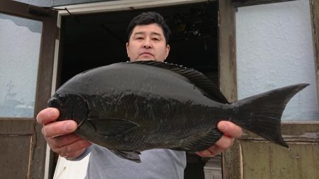 伊豆下田フィッシング 釣果