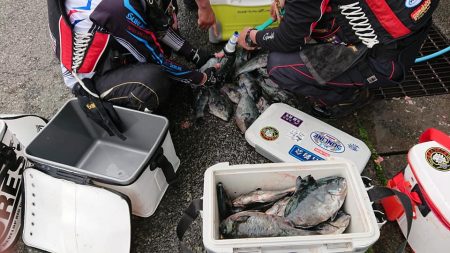 伊豆下田フィッシング 釣果