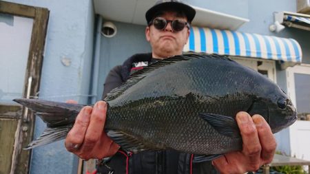 伊豆下田フィッシング 釣果